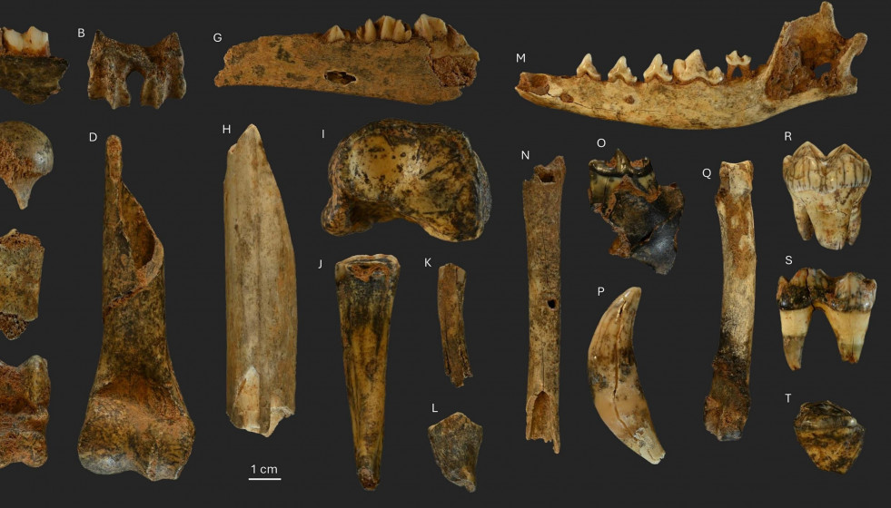 Yacimiento de Valdavara 1, en Becerreá
