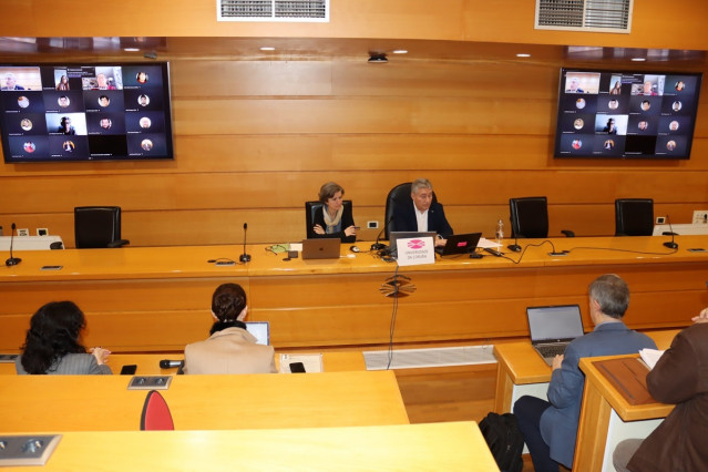El rector de la UDC, Ricardo Cao, durante el Consello de Goberno en el que se aprobó por unanimidad la descentralización del grado de Medicina.