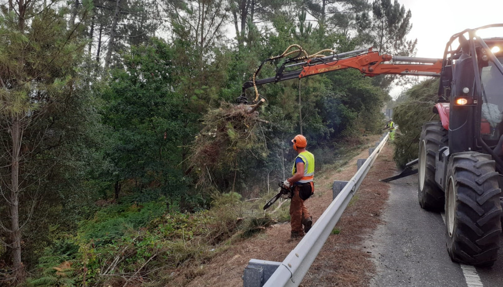 Archivo - Desbroce de márgenes de carreteras, limpieza de biomasa, roza
