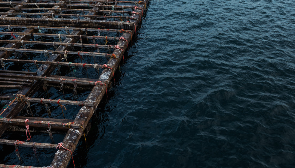 Archivo - Una batea para pescar mejillones, a 2 de septiembre, en Pontevedra, Galicia (España).