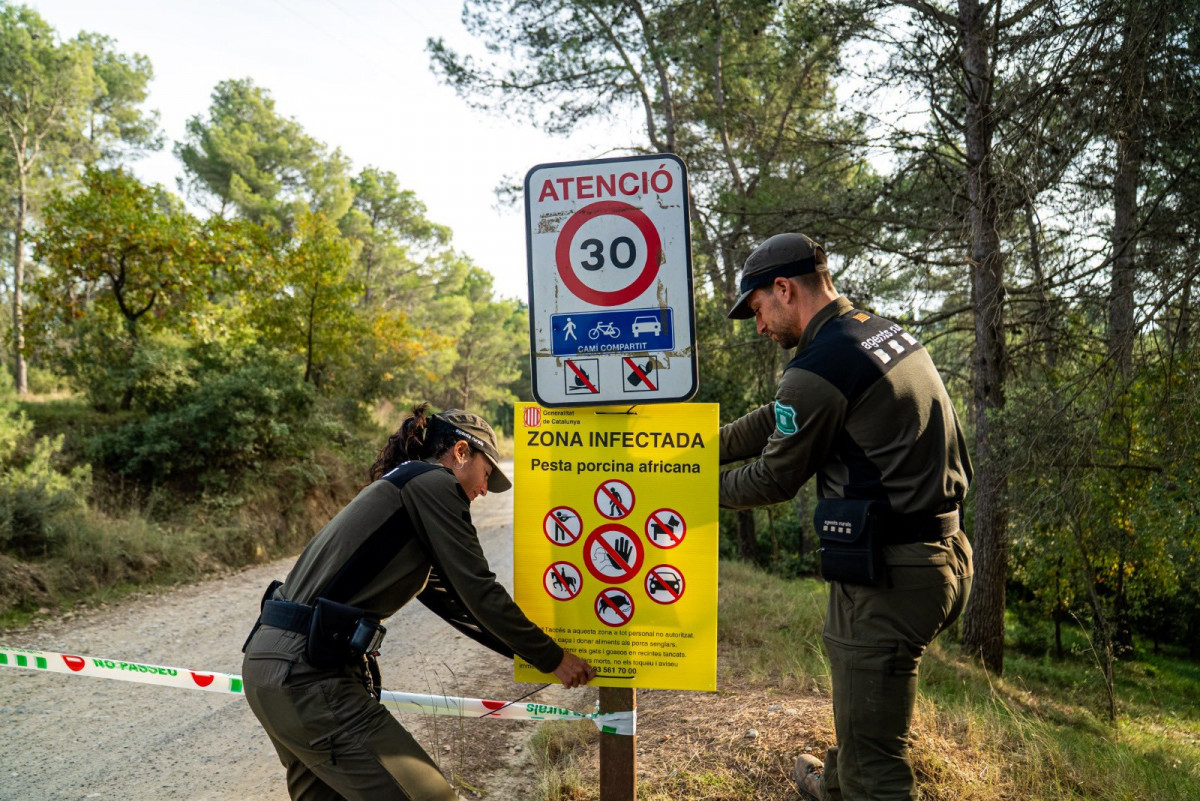 Cierre de un parque natural en Barcelona por la peste porcina africana