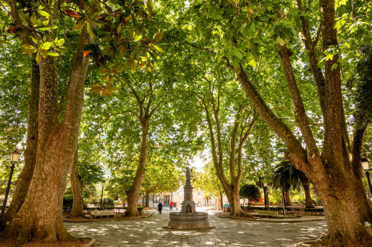 Permanece ingresado en la UCI el joven que cayó desde lo alto de la Fonte dos Desexos en la praza Azcárraga