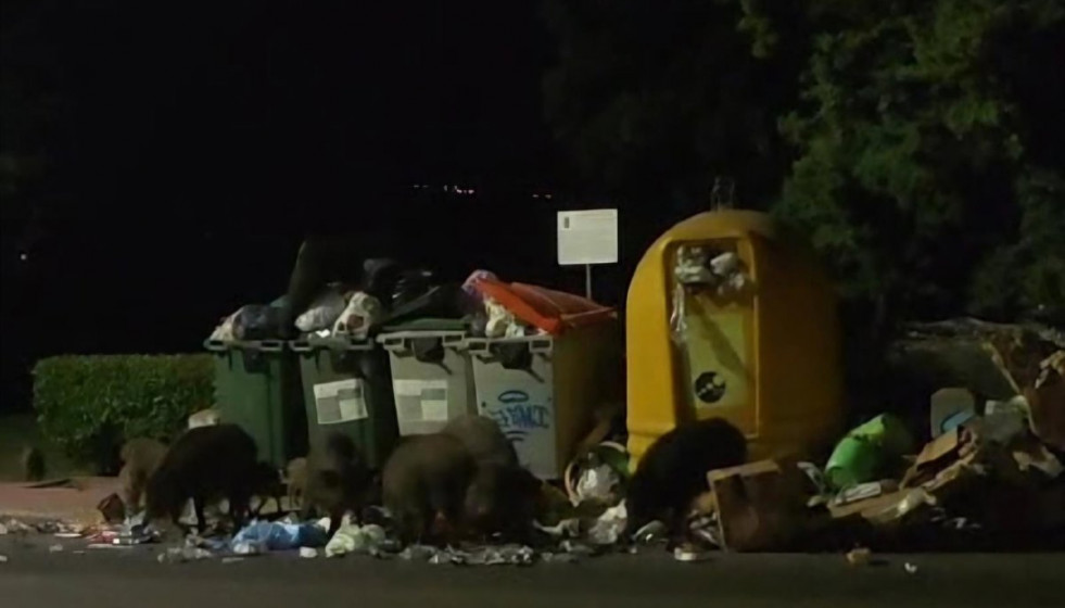 Fotonoticia 20241110121451 1200