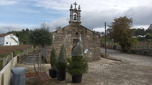 Abetos navideños robados