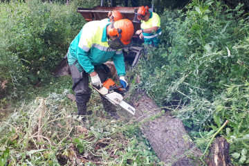 Archivo - La Xunta ha comenzado, a través de Augas de Galicia, la acometida de labores de limpieza y conservación en un tramo interurbano de 130 metros del río Pinicho, a su paso por el núcleo de 