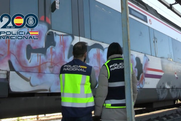 Agentes de la Policía Nacional han detenido a 17 personas acusadas de comenter 95 delitos de daños conetidos en instalaciones, trenes, vagones de ferrocarril, y metros de distintos operadores de la 