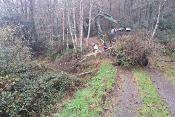 Trabajos de mantenimiento realizados por la Confederación Hidrográfica del Cantábrico en cauces de A Fonsagrada (Lugo).