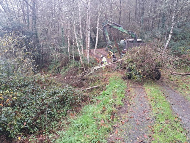 Trabajos de mantenimiento realizados por la Confederación Hidrográfica del Cantábrico en cauces de A Fonsagrada (Lugo).