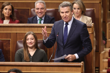 El presidente del Partido Popular, Alberto Núñez Feijóo, interviene durante una sesión de control al Gobierno, en el Congreso.