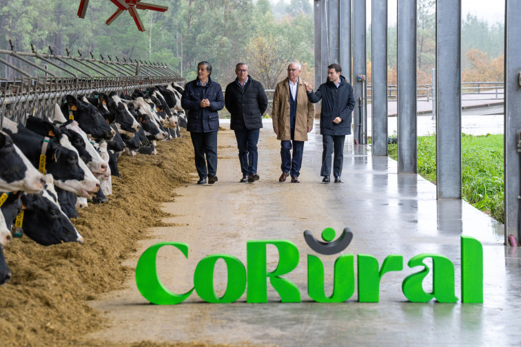 Alianza de Clun y Leite Celta para formar CoRural, empresa que contará con 1.400 productores y 800 empleados
