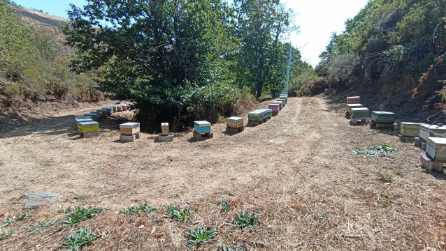Archivo - Trabajos del proyecto de colaboración con apicultores en la mina de wolframio de A Gudiña (Ourense).