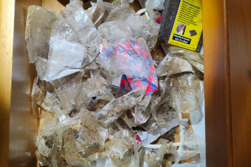 Imagen del contenido hallado en la vivienda