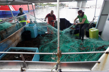 Archivo - Pescadores descargan el pescado y el marisco capturado hoy en el Puerto de Burela, a 21 de diciembre de 2022, en Burela, Lugo, Galicia (España). Este año ha pasado por las rulas gallegas l
