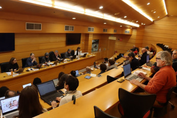 Consello de Goberno de la UDC