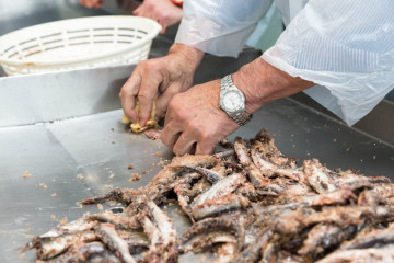 Archivo - Limpieza de anchoas