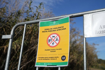 Fotonoticia 20251218092110 1412