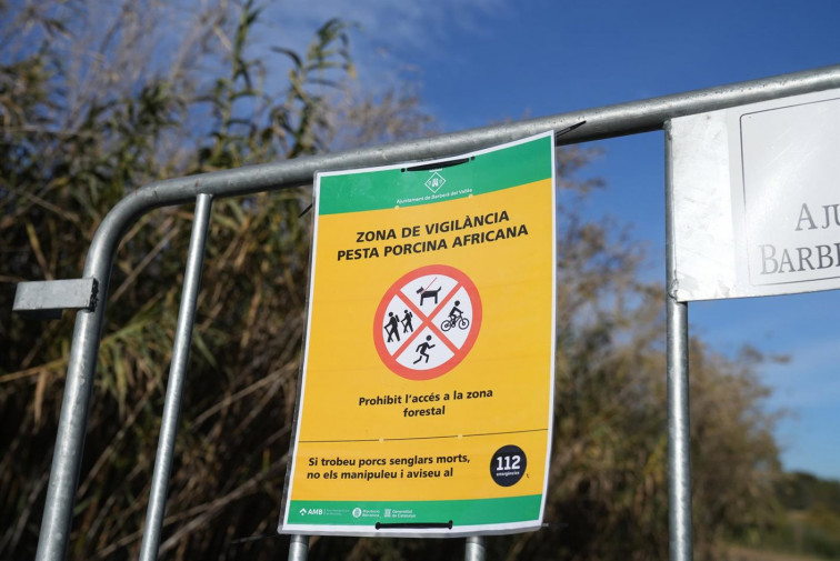 Registro en el laboratorio IRTA-CReSA de Cerdanyola del Vallès por el brote de peste porcina