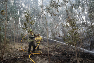 Archivo - Bomberos trabajan en las tareas de extinción del incendio forestal en Cervo, a 5 de noviembre de 2025, en Cervo, Lugo, Galicia (España). Las llamas han comenzado de madrugada y han obligad