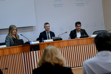 El director xeral de Comercio e Consumo, Gabriel Alén, en comisión parlamentaria