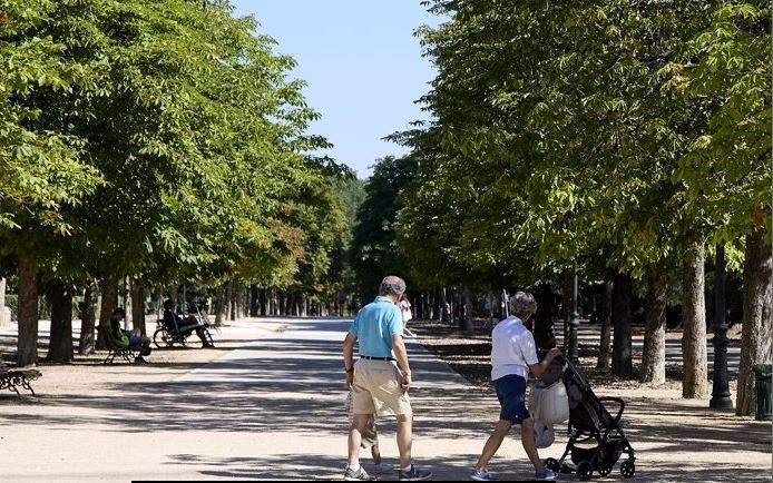 El Gobierno prepara un 'Estrategia nacional' de coordinación sociosanitaria
