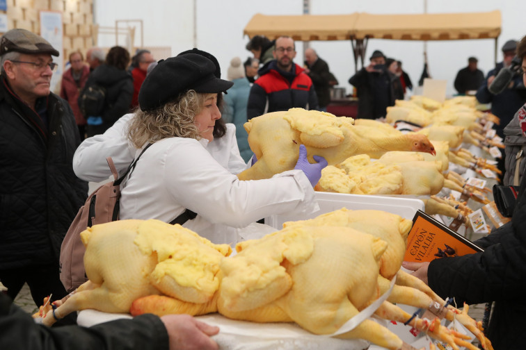 El Capón de Vilalba puede con el frío, más de mil personas asisten a la feria de este producto chairego