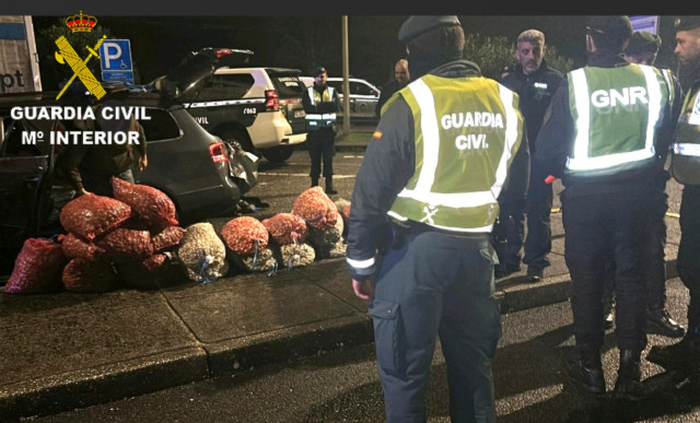 La Guardia Civil de Pontevedra en un servicio conjunto con la GNR portuguesa interviene 1400 kilos de bivalvos