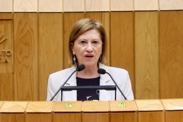 La diputada del PSdeG Elena Espinosa.