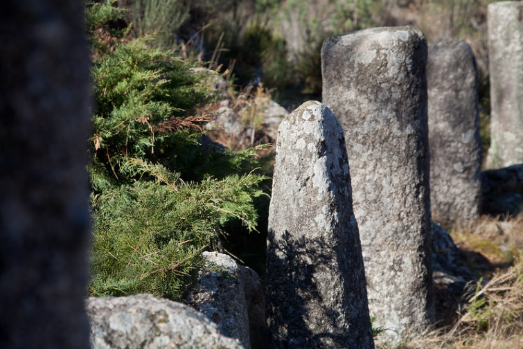 Cultura establece ocho 