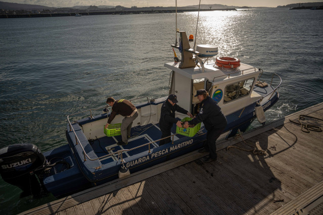 Cambados, Pontevedra.  Agentes de Gardacostas de Galicia cargan a bordo los excedentes de un buque que sobrepasó el cupo máximo de capturas para dirigirse al banco marisquero del que se extrajo para devolverlos al mar, a 19 de diciembre de 2025.