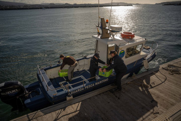 Cambados, Pontevedra.  Agentes de Gardacostas de Galicia cargan a bordo los excedentes de un buque que sobrepasó el cupo máximo de capturas para dirigirse al banco marisquero del que se extrajo para