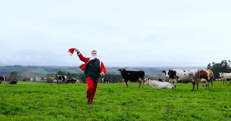 Una carrera entre vacas, barro y otros obstáculos en la Xan Silvestre, la San Silvestre más rural