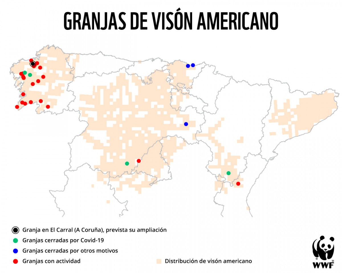 Granjas de visu00f3n americano en Espau00f1a en 2021 en una imagen de WWF
