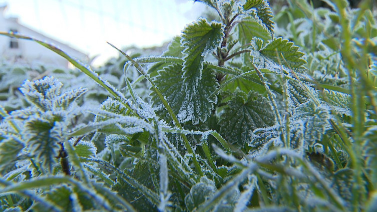 Galicia despide 2025 con el termómetro bajo 0: -3,8ºC en Calvos de Randín