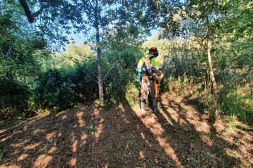 Archivo - Labores de desbroce