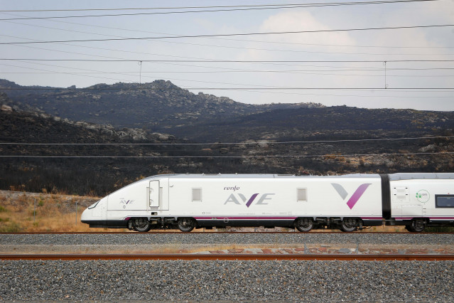 Archivo - Paso del AVE sobre terreno quemado por el incendio de A Gudiña.