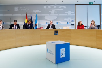 Rueda preside el Consello de la Xunta.