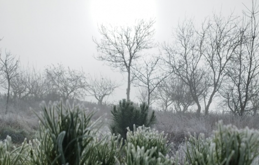 Fru00edo g24noticias