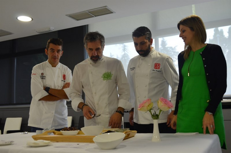 Las setas buscan su sitio en la cocina del otoño