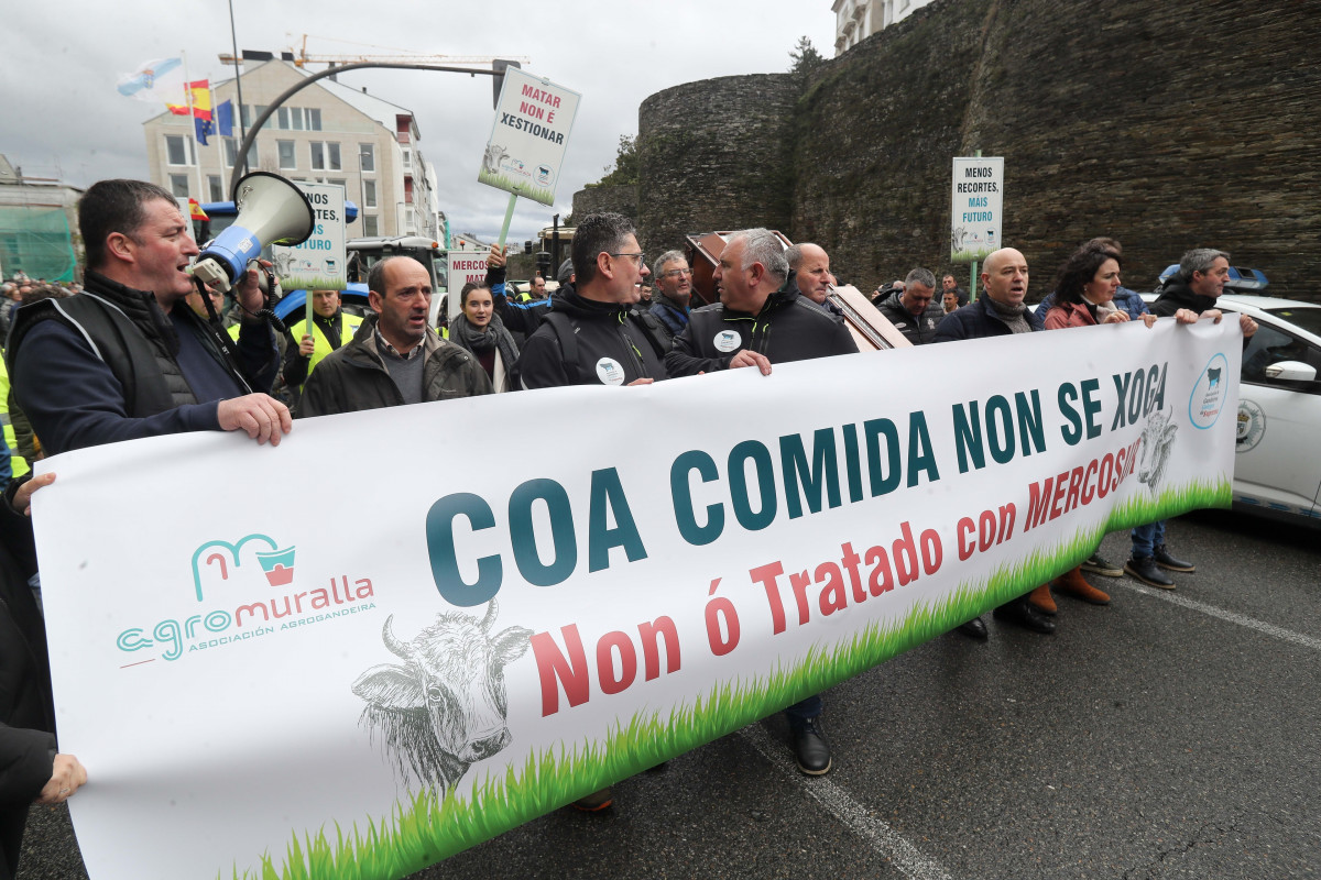 Manifestantes  en las movilizaciones contra el acuerdo alcanzado entre Mercosur y la UE