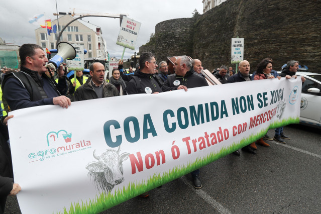 Manifestantes  en las movilizaciones contra el acuerdo alcanzado entre Mercosur y la UE