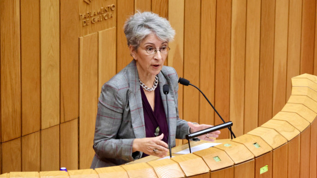 Archivo - La diputada socialista Silvia Longueira durante una intervención en el Parlamento.