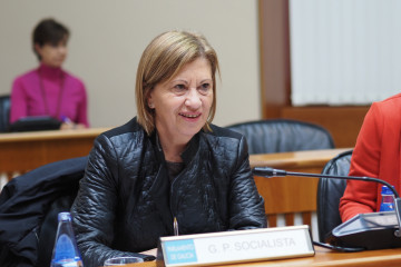 La diputada socialista Elena Espinosa en el Parlamento de Galicia.