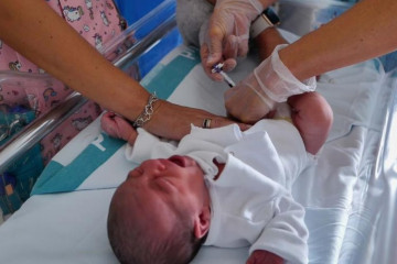 Archivo - Foto de archivo