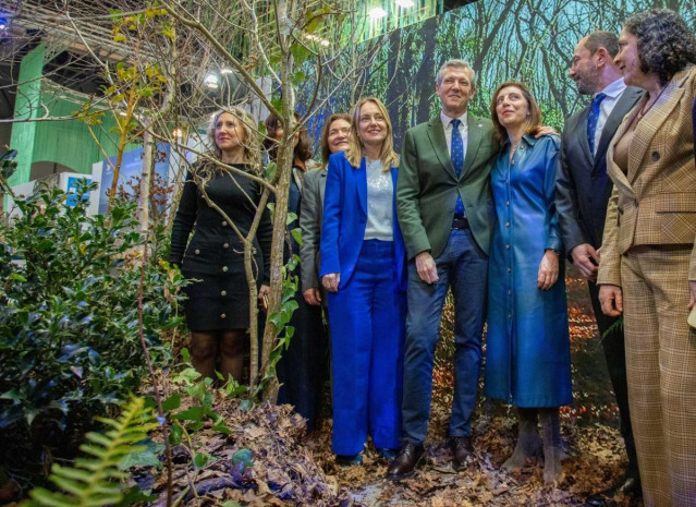 Archivo - El presdiente de la Xunta, Alfonso Rueda, este jueves en Fitur