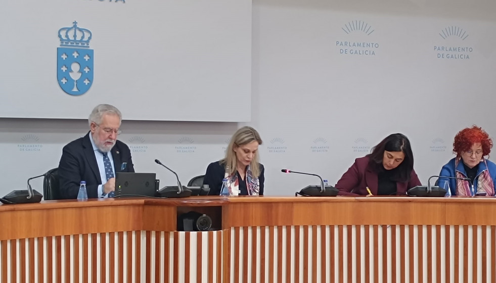 La valedora do Pobo, María Dolores Fernández Galiño, en la Comisión de Peticións del Parlamento de Galicia
