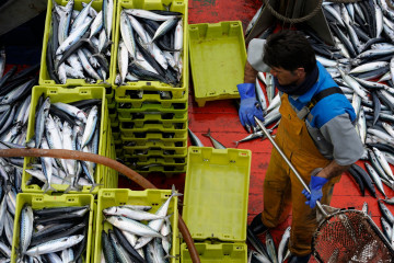 Archivo - Descarga en el puerto.