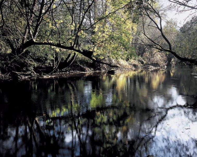 Aparece un cadáver dun home nun río en Vilalba