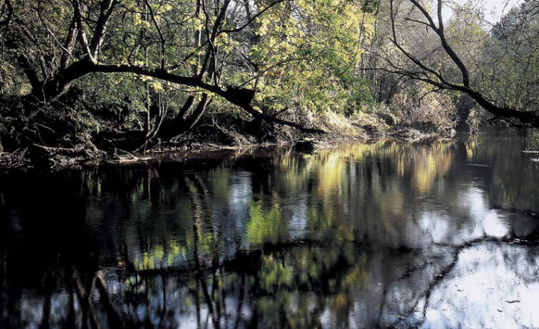 Aparece un cadáver dun home nun río en Vilalba