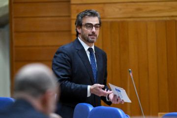 El conselleiro de Presidencia, Xustiza e Deportes, Diego Calvo, interviene en el pleno del Parlamento.