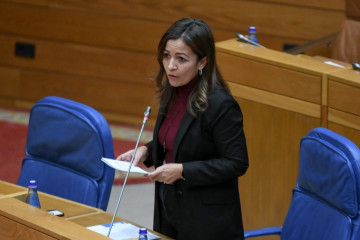 La conselleira do Mar en una intervención en el Parlamento de Galicia.